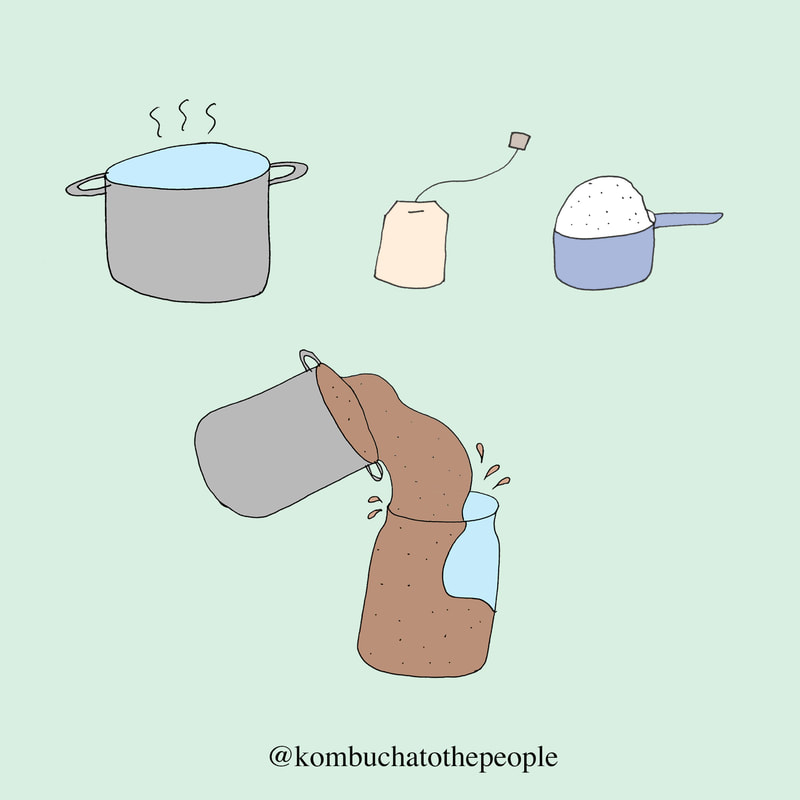 Kombucha art illustration of kombucha brewing ingredients- water, tea, sugar, and a SCOBY