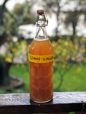 lemon ginger homemade kombucha