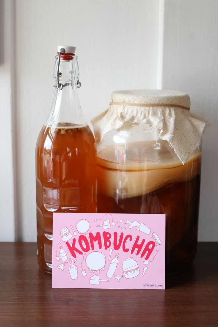 Kombucha art illustration in front of kombucha scoby and bottle of kombucha