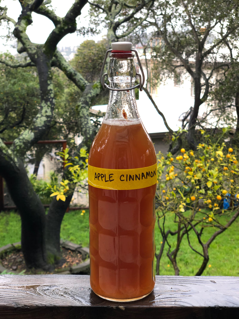 bottle of home brewed apple cinnamon kombucha