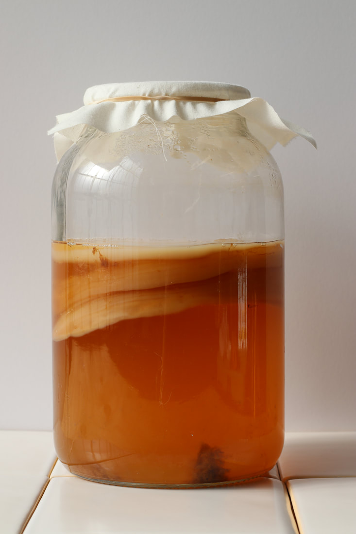 Jar of kombucha fermented tea with kombucha SCOBY floating on top with cloth cover