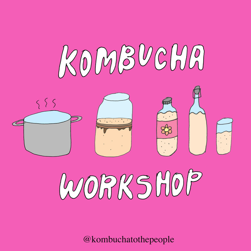 kombucha illustration art kombucha workshop with row of scoby in a jar, bottles of kombucha and hot water