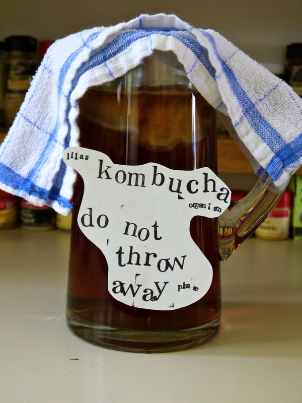 pitcher of homemade kombucha with a scoby